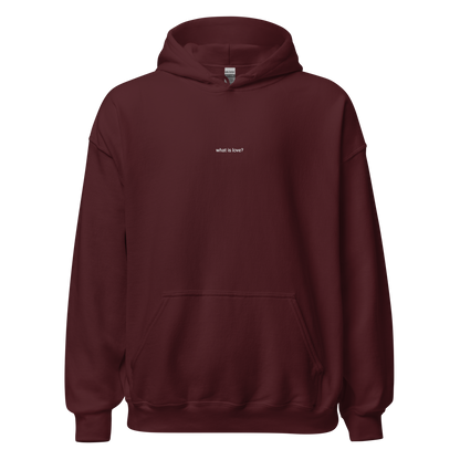 What is love? Hoodie